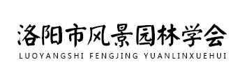 头部LOGO